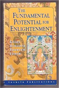 The Fundamental Potential for Enlightenment-front.jpg
