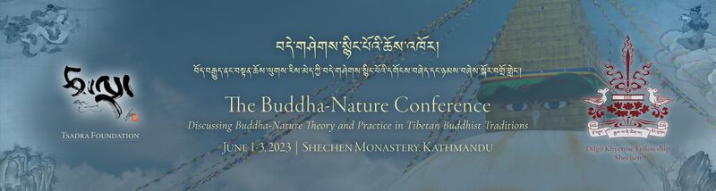 2023 Buddha-Nature Conference Banner-7-GoldText-Reduced.jpg