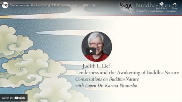 Judith Lief Conversations on Buddha-Nature.png